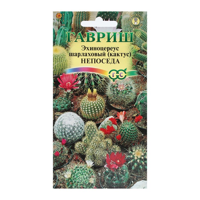 Семена комнатных цветов Эхиноцереус шарлаховый (Кактус) «Непоседа», 0.05 г, «Гавриш»