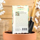 Семена комнатных цветов Кактус "Непоседа", ц/п, 0,05 г - Фото 2