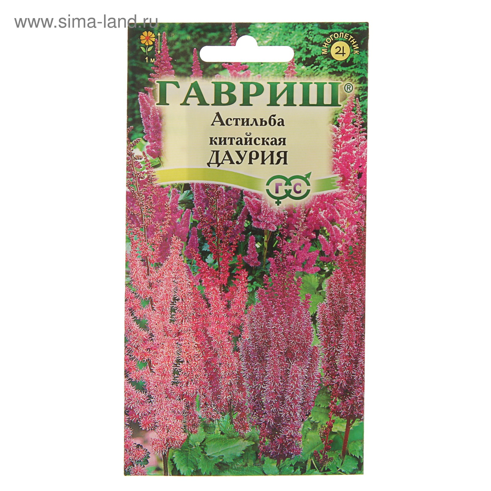 Как выглядят семена астильбы Как выглядят семена астильбы