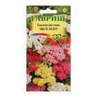 Семена цветов Тысячелистник "Экселент", ц/п, 0,05 г - Фото 3