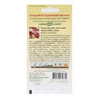 Семена цветов Тысячелистник "Экселент", ц/п, 0,05 г - Фото 6