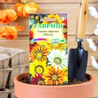 Семена цветов Гацания крупноцветковая "Триада", смесь, О, 0,05 г - Фото 1