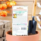 Семена цветов Гацания крупноцветковая «Триада», ц/п, смесь, для балкона, веранды, цветника, однолетник, низкорослая, 0.05 г - Фото 2