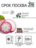 Семена Редька «Зимняя», круглая, чёрная, 0.5 г, «Гавриш» - Фото 2