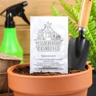 Семена Свекла "Цилиндра", б/п, 2 г - Фото 1