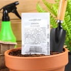 Семена Свекла «Цилиндра», 2 г, «Гавриш» - Фото 6