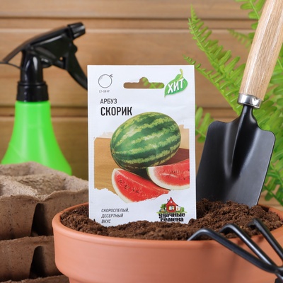 Семена Арбуз «Скорик»,1 г, «Удачные семена»