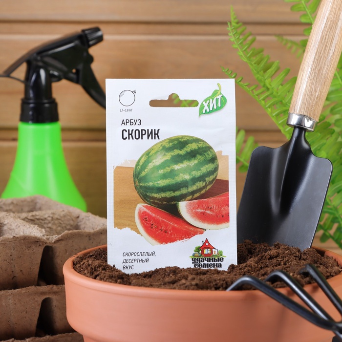 Семена Арбуз "Скорик", ц/п, 1 г серия ХИТ х3 - Фото 1