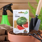 Семена Арбуз «Скорик»,1 г, «Удачные семена»  (артикул 2869388)  большой выбор товаров оптом и в розницу по низким ценам с доставкой