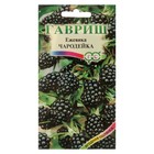 Семена Ежевика "Чародейка", ц/п, 10 шт - Фото 1