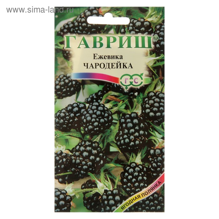 Семена Ежевика "Чародейка", ц/п, 10 шт - Фото 1