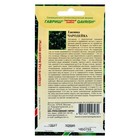 Семена Ежевика "Чародейка", ц/п, 10 шт - Фото 2