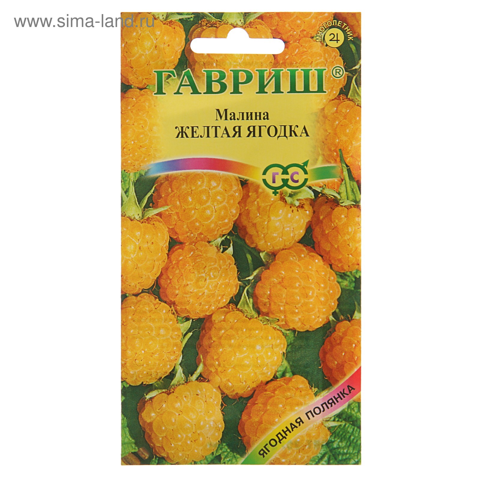 Жасырын камерада тыңшылық жасаған орыс секс видеосы