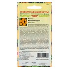 Семена Малина "Желтая ягодка", ц/п, 10 шт - Фото 2