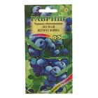 Семена Черника обыкновенная "Лесная жемчужина", ц/п, 30 шт. - Фото 1