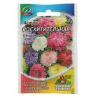 Семена цветов Астра "Восхитительная", ц/п, смесь, О, 0,3 г серия ХИТ х3 - Фото 3