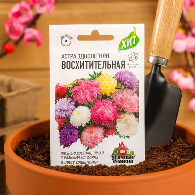 Семена цветов Астра "Восхитительная", ц/п, смесь, О, 0,3 г серия ХИТ х3