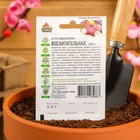 Семена цветов Астра "Восхитительная", ц/п, смесь, О, 0,3 г серия ХИТ х3 - Фото 7