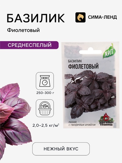 Семена Базилик «Фиолетовый», 0.1 г, ранний, «Удачные семена»