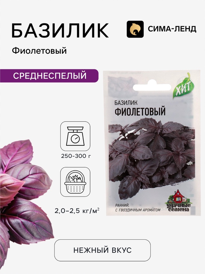 Семена Базилик «Фиолетовый», 0.1 г, ранний, «Удачные семена» - Фото 1