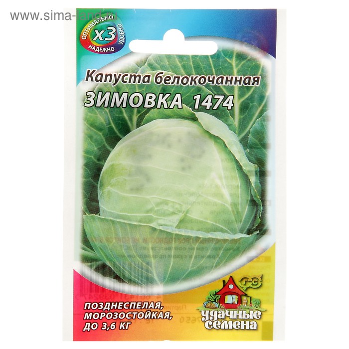Семена Капуста белокочанная "Зимовка 1474", для хранения, 0,1 г серия ХИТ х3 - Фото 1