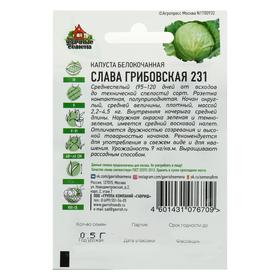 Семена Капуста белокочанная "Слава Грибовская 231", для квашения, 0.1 г  серия ХИТ х3 (комплект 5 шт)