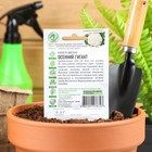 Семена Капуста цветная «Осенний гигант», 0.1 г, «Удачные семена» - Фото 2