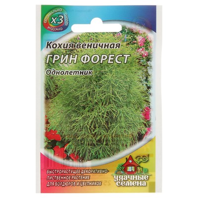 Семена цветов Кохия веничная "Грин Форест", О, 0,2 г  серия ХИТ х3