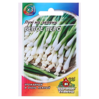 Семена Лук на зелень «Белое перо», 0.5 г, ХИТ х3-Гавриш»