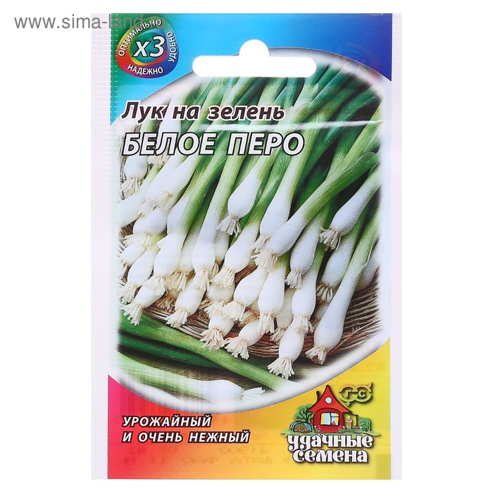 Семена Лук на зелень «Белое перо», 0.5 г, ХИТ х3-Гавриш» - Фото 1