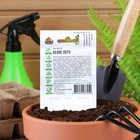 Семена Лук на зелень «Белое перо», 0.5 г, ХИТ х3-Гавриш» - Фото 6