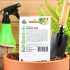 Семена Лук на зелень "Зеленое перо", ц/п, 0,5 г серия ХИТ х3 - Фото 2