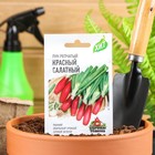 Семена Лук на зелень репчатый Красный салатный, 0,5 г  серия ХИТ х3 - фото 318033342