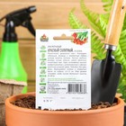 Семена Лук на зелень репчатый Красный салатный, ц/п, 0,5 г серия ХИТ х3 - Фото 2