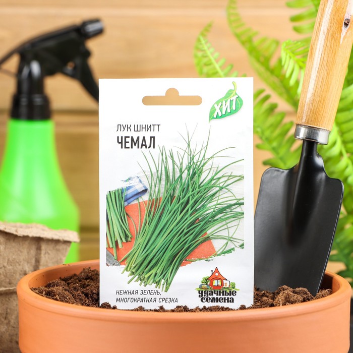 Семена Лук на зелень шнитт «Чемал», 0.5 г, «Удачные семена» - Фото 1