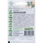 Семена Лук порей "Карантанский", ц/п, 0,2 г серия ХИТ х3 - Фото 2