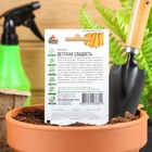 Семена Морковь "Детская сладость", 1,5 г серия ХИТ х3 - Фото 2