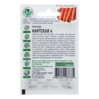 Семена Морковь "Нантская 4", 1,5 г серия ХИТ х3 - Фото 4