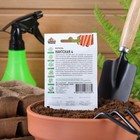 Семена Морковь "Нантская 4", 1,5 г серия ХИТ х3 - Фото 2