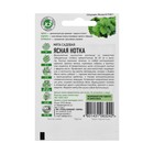 Семена мята садовая «Ясная нотка», цветной пакет, 0.05 г - Фото 2