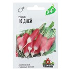 Семена Редис 18 дней, ц/п, 2,0 г ХИТ х3 серия ХИТ х3 - Фото 1