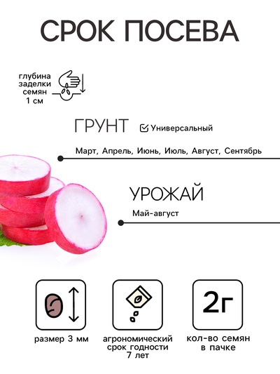 Семена Редис «Жара», 2 г, «Удачные семена»