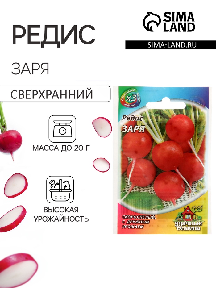 Семена Редис «Заря», 2 г, серия «ХИТ», «Гавриш» - Фото 1