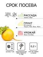Семена Репа "Петровская 1", ц/п, 0,2 г серия ХИТ х3 - Фото 2