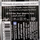 Пряжа "Superlana Maxi" 75% акрил, 25% шерсть 100м/100гр (137 табачно-коричневый) - Фото 3