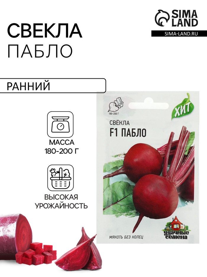Семена Свекла «Пабло», F1, 1 г, серия «ХИТ», «Гавриш» - Фото 1