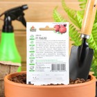 Семена Свекла "Пабло" F1, ц/п, 1 г серия ХИТ х3 - Фото 2