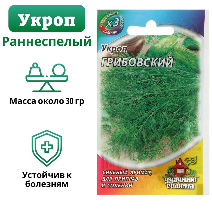 Семена укроп «Грибовский», 2 г - Фото 1