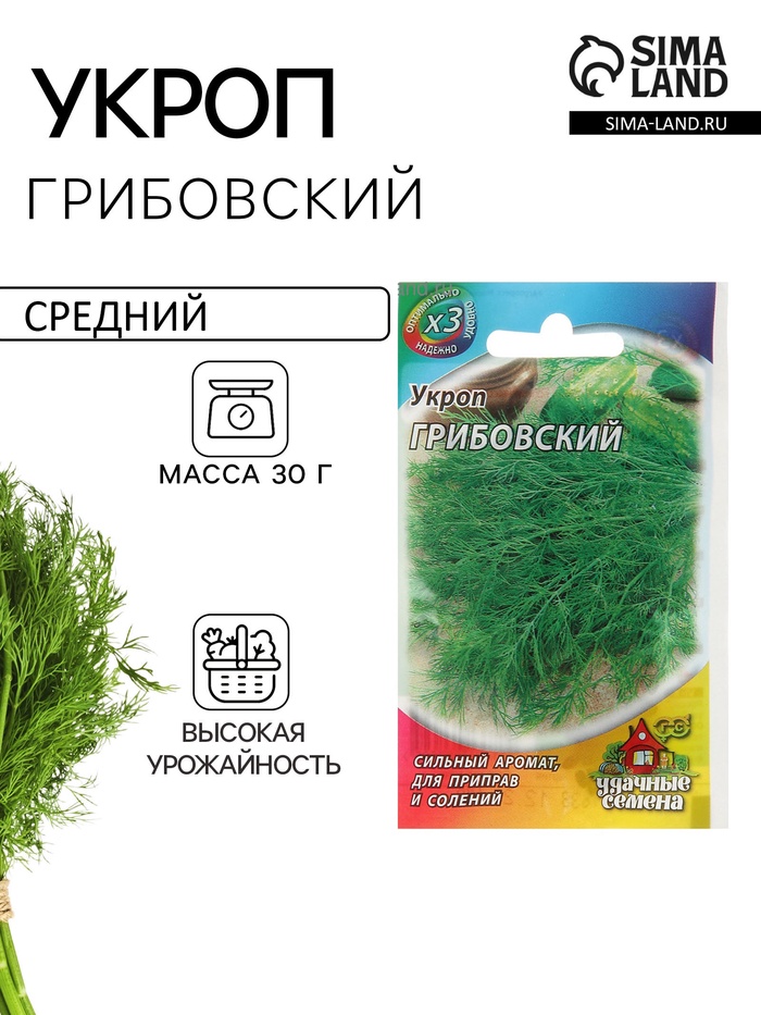 Семена укроп «Грибовский», 2 г - Фото 1