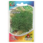 Семена Укроп "Кибрай", ц/п, 2 г серия ХИТ х3 - Фото 3